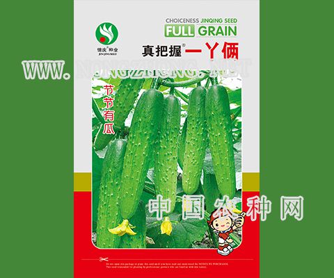 真把握一丫俩